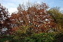 Parco Europa Autunno_042